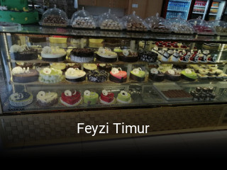 Feyzi Timur