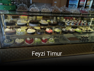 Feyzi Timur