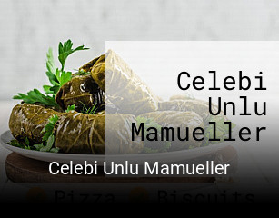 Celebi Unlu Mamueller